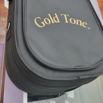 Gold Tone GM-35 F Style Mandolin with case - Tobacco Sunburst image 13