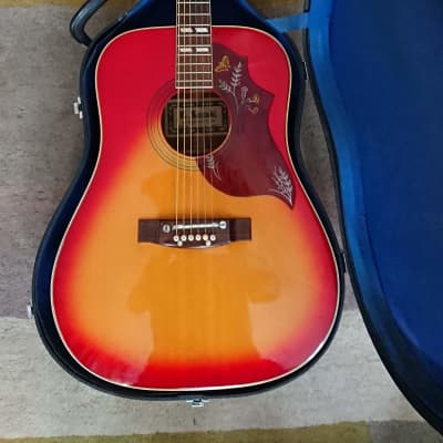 ギター SUZUKI Hummingbird FH-250 1970s SUZUKI Hummingbird FH-250 1970s ギター