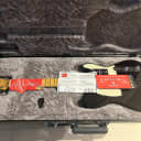 Fender Telecaster American Professional II Maple Fretboard