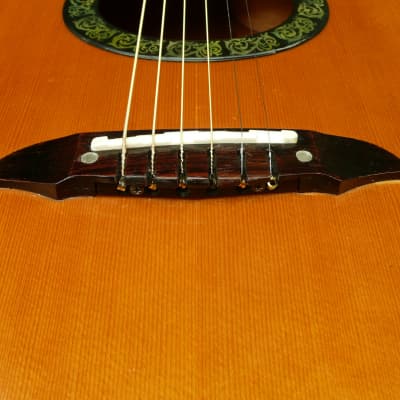 Greco GE800 Acoustic Guitar with Ceramic Piezo pick up | Reverb