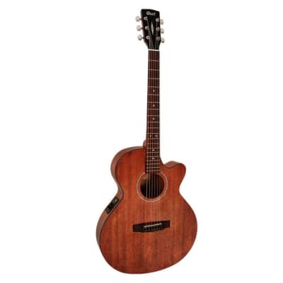 Amazon.com: Cort 6 String Acoustic Guitar, Right, Open Pore