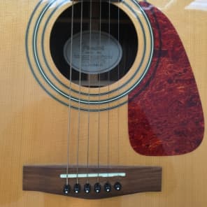 m*i様 Fender アコースティックギター DG-21S NAT（ソフトケー Fender DG21S Nat Early 2000's Solid Spruce | Reverb