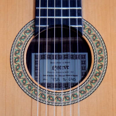 Esteve 7SR  640 short scale classical guitar/all solid wood/cedar top image 4