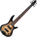 Ibanez GSR206SMNGT Gio 6 String Electric Bass Natural Gray Burst