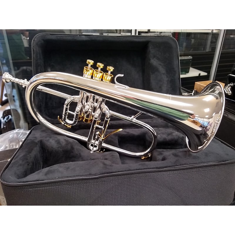 Schiller Studio Flugelhorn Silver/Gold Reverb