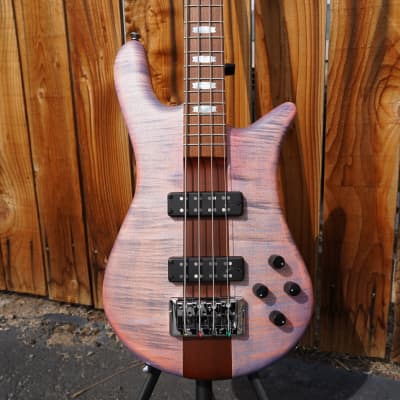 Spector bass gig bag 2025