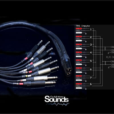 Waves Sounds TRS In 8 CH - XLR Out Summing Cable 2019 Black & Silver image 1