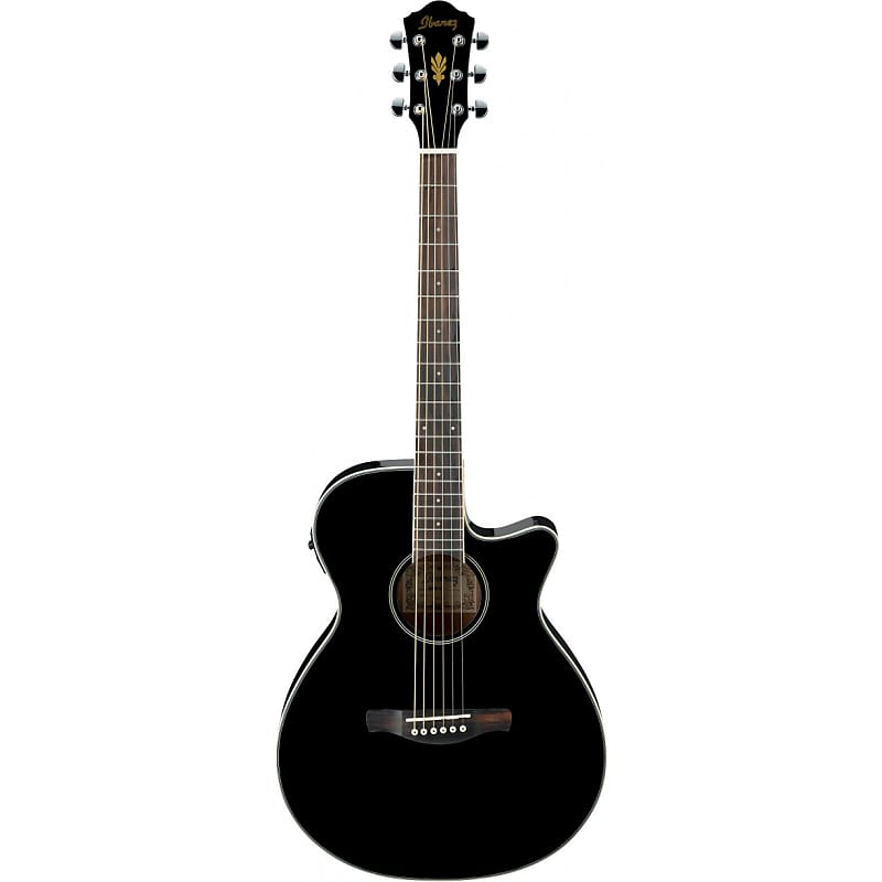 ギター Ibanez AEG8E Ibanez AEG8E NAT AEG Body Electro Acoustic Guitar with Gig