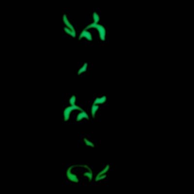 7 string Green Glo Vine Inlay  Neck-fits ibanez (tm) rg jem UV bodies- 65mm Heel - J1580 image 3