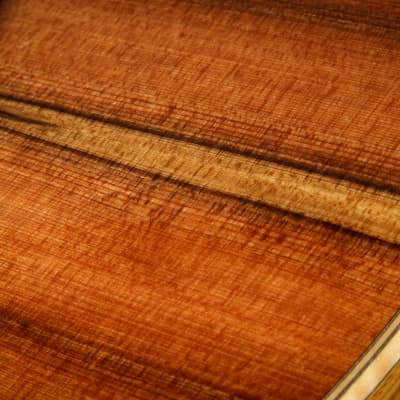 Taylor Custom GC - Sinker Redwood/Honduran Rosewood image 22