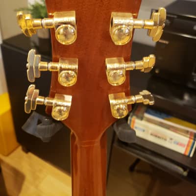 Triggs Acoustic 2014 with Three Pickups Installed image 6