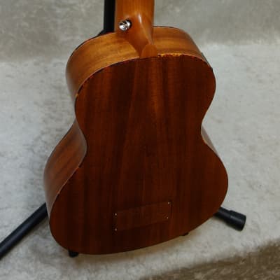 ベース Donner DUB-1 Ukulele Bass Donner DUB-1 30-inch Electric Bass Ukulele - Review
