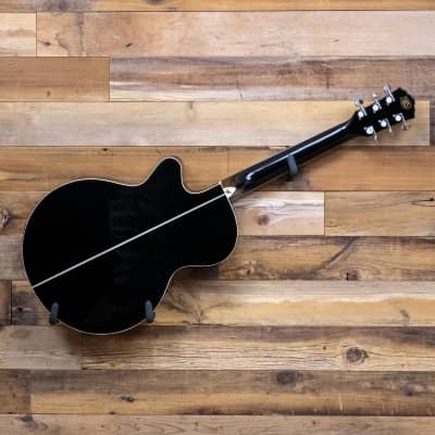 Washburn EA10 Festival Petite Jumbo Cutaway Acoustic-Electric Guitar, Black image 6