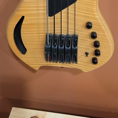 Bass Willcox Saber 5 strings fretless Mint image 2