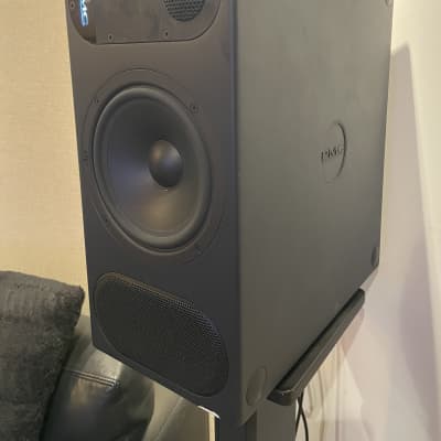 PMC IB2 -- Incredible Monitors in Great Condition Reverb