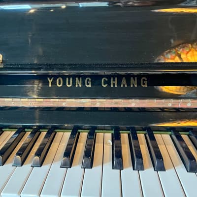(SOLD)Young Chang U121 48" Polished Ebony Upright Piano w/ Silent System c1981 #8113145 image 5