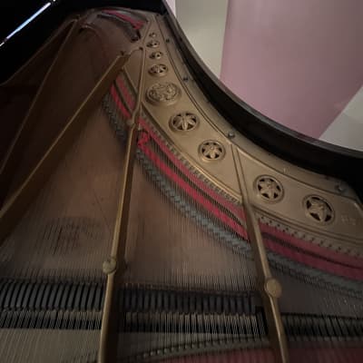 Chickering & Sons 58515 1881 - Marrone satinato image 7