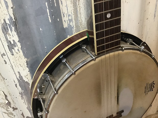 Raven Banjo