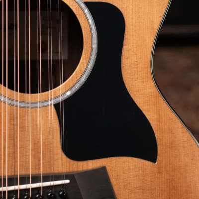 Taylor 254ce Plus Grand Auditorium 12-String Acoustic/Electric Guitar Natural with Aerocase image 11