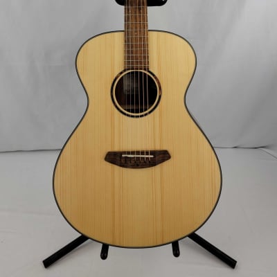 Mahogany Harmony Acoustic Guitar with Eq