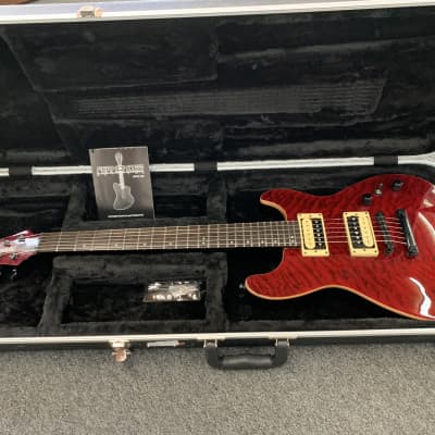 Fernandes Dragonfly With Set Neck - with Case image 13