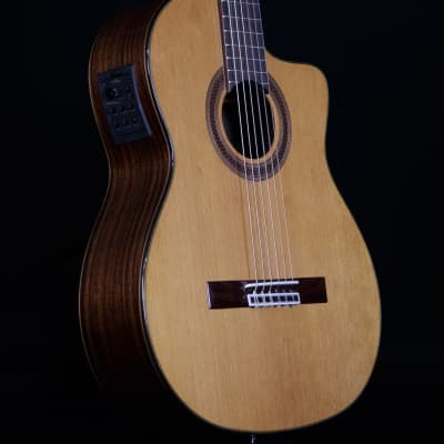 Cordoba C7-CE Cedar Top Nylon String Guitar image 4