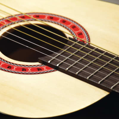 Indiana COLT Standard Size 36-Inch Spruce Top 6-String Acoustic Guitar w/Gig Bag image 6