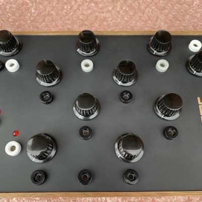Ouroboros Electronics Alea Taction West-Coast Synthesizer image 3