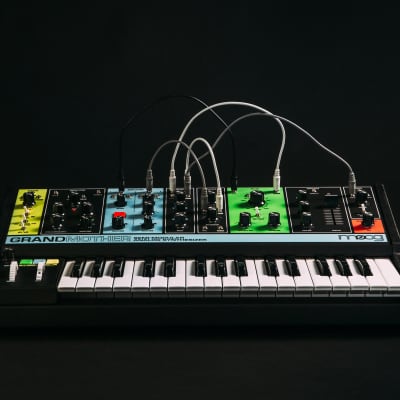 Moog Grandmother - Semi-modular Synthesizer image 2