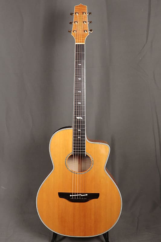 Takamine DSP615 VN [11/17]