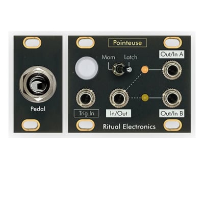 Ritual Electronics Pointeuse Eurorack 1U Switch Module image 2