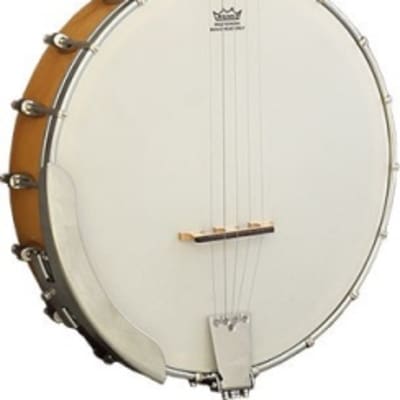Ashbury AB-25-5 5 String Banjo, Maple Open Back for sale