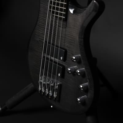 Vigier Passion IV 5 strings 2000-2023 - Black Diamond image 3
