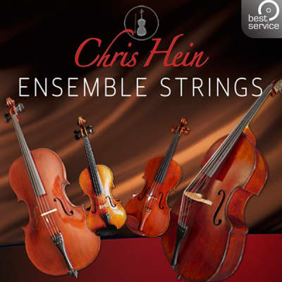 Best Service Chris Hein Ensemble Strings (Download) image 1