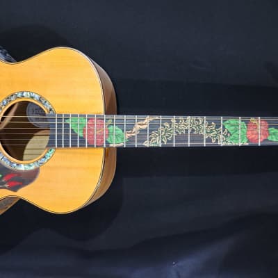 ギター Lakewood A-45 Custom Ziricote Europian Lakewood M45 Custom Ziricote European Spruce played by Tom Punt