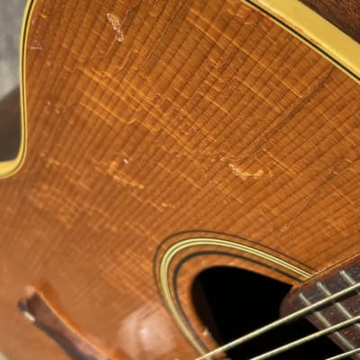 Fender Palomino - Kingsman/Malibu/Coronado image 11