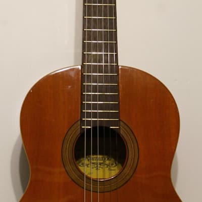Guitare Classique Raimundo Model 100 image 3