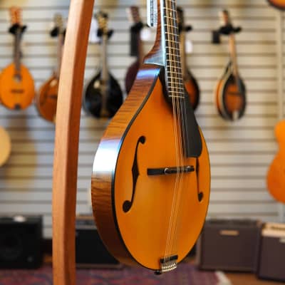 Northfield NFM-A5 Model M Engelmann Spruce/Figured Maple A-Style Mandolin Amber Top w/Hard Case image 2