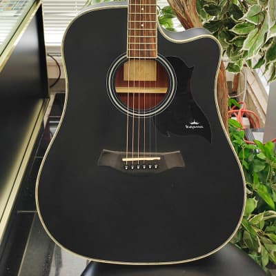 applause AE-138  オベーション Applause by Ovation AE 138 Electro Acoustic With Case
