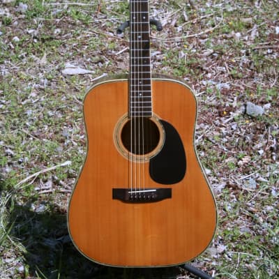 Morris W50 Solid Spruce Top  '70 Natural image 2