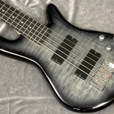 new】Spector / Legend 5 Standard Black Stain Gloss #WI22080196