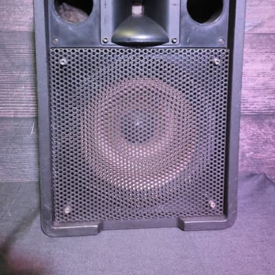 Ramsa WS-A200 Passive Speaker (Philadelphia, PA) | Reverb