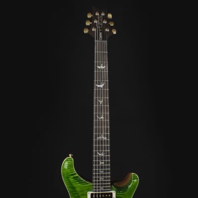 Paul Reed Smith (PRS) エレキギターCustom24 Artist Package