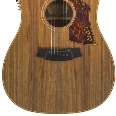 Cole Clark FL2EC-LS-BLBL R - Lloyd Spiegel Signature Series Fat Lady 2  Acoustic Electric Cutaway Guitar - 171134014 | Reverb Australia