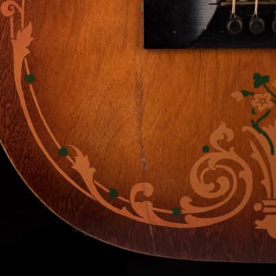 Vintage Regal Luann 1920's Floral Parlor Acoustic Guitar With SSC image 9