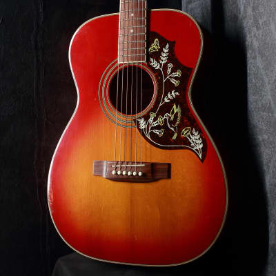 Yasuma Custom Newance F1600H Folk Acoustic Guitar | Reverb