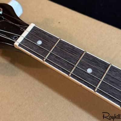 Danville Tenor 4-String Resonator Banjo image 8