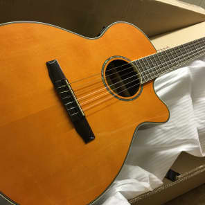 Ibanez AEG7-TBO AEG Single Cutaway 6-String Acoustic Electric