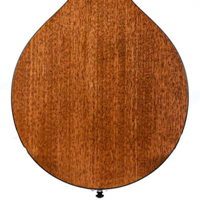 Eastman PCH M104 Goldburst Mandolin image 4