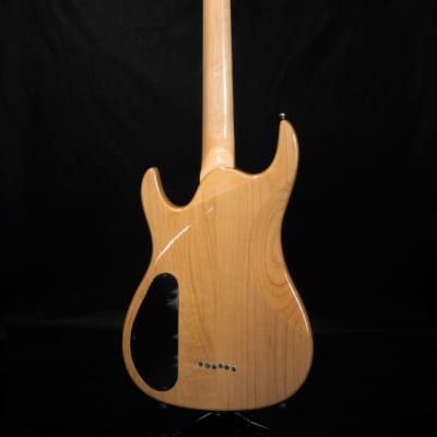 Aria Pro II MAC-EXO SPN Spalted Maple Electric Guitar image 2